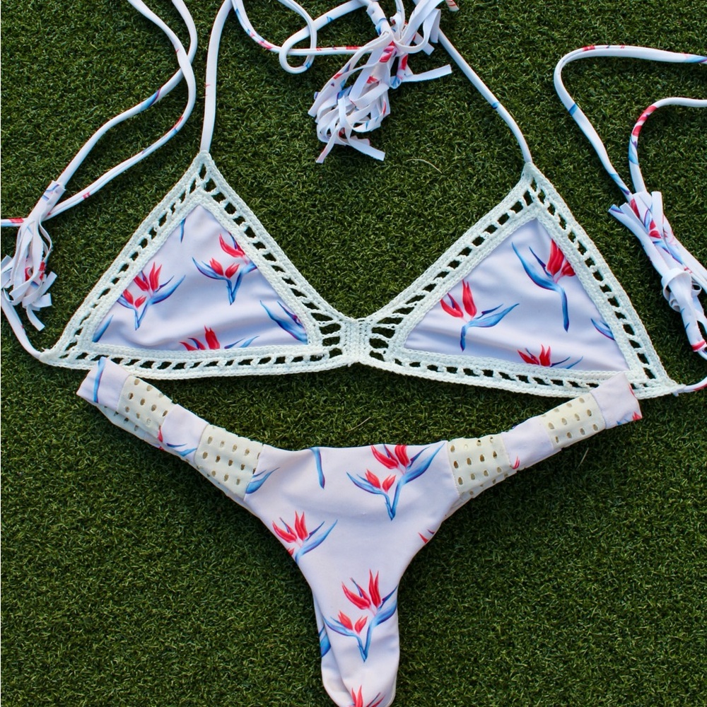 the og acacia birds of paradise.